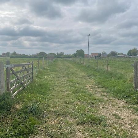 Ivy Cottage Salters Lode Экстерьер фото