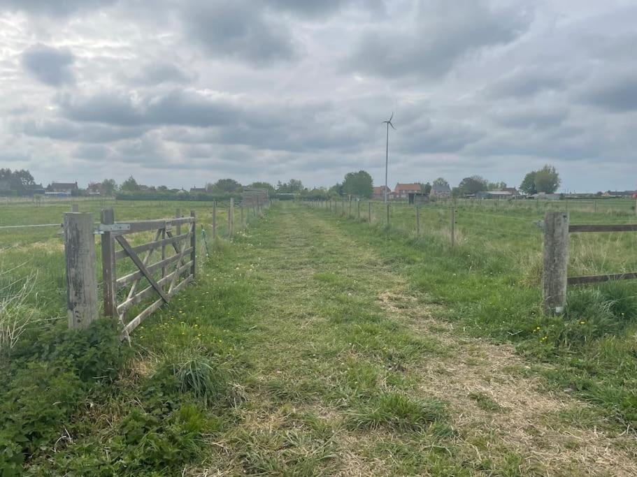 Ivy Cottage Salters Lode Экстерьер фото